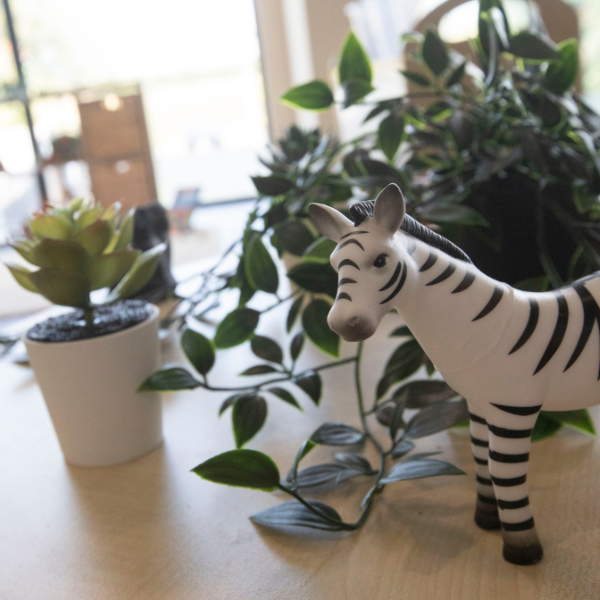 Meet The Team at Birtle View Nursery Heywood
